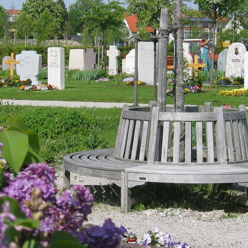Runde Bank um einen Baum auf einem Friedhof